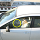 Illustration for article titled Text While Driving In The Bay Area And You Might End Up On A Billboard